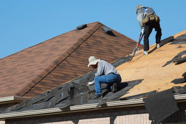 Best Skylight Installation and Repair  in Richmond, MN